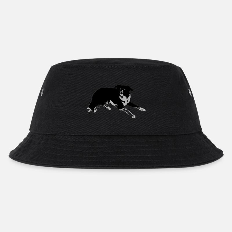 Border Collie - Bob Enfant - noir
