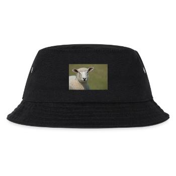 A Sheep on a Dike Northern Germany Poster - Kids’ Bucket Hat - black - Front
