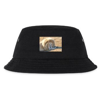 Le repos du lion dans la lumière de la savane - Bob Enfant - noir - Devant