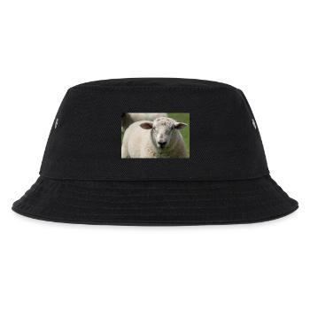 Gros plan d’un mouton - Bob Enfant - noir - Devant