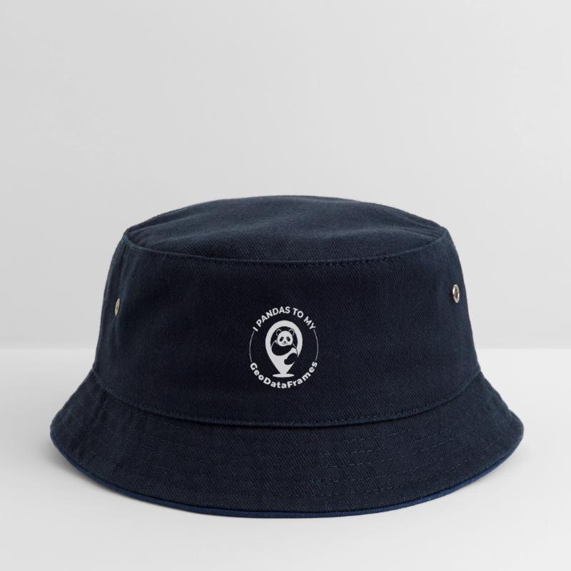 GeoDataFrames Pandas GIS Programmation Python Bob Enfant