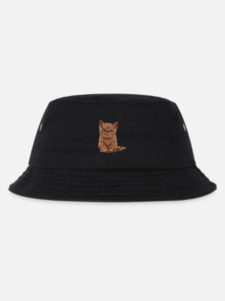 châton roux, cat - Bob Enfant - noir