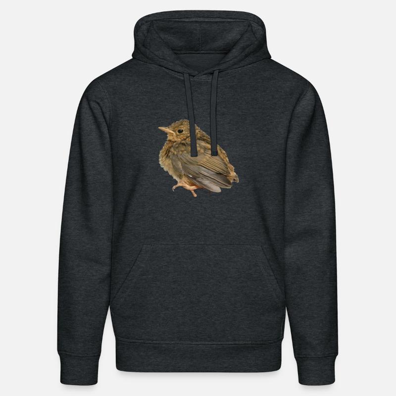 Succursale de Robin - Sweat à capuche bio DRUMMER Stanley/Stella Unisexe - gris foncé chiné