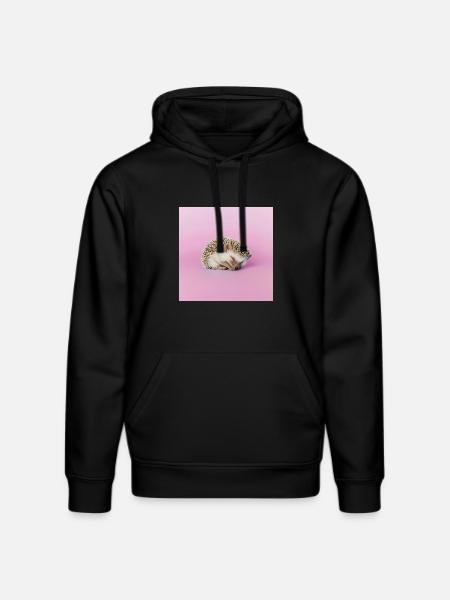 Schlafender Igel auf blassrosa Hintergrund - Stanley/Stella Unisex Bio-Hoodie DRUMMER - Schwarz