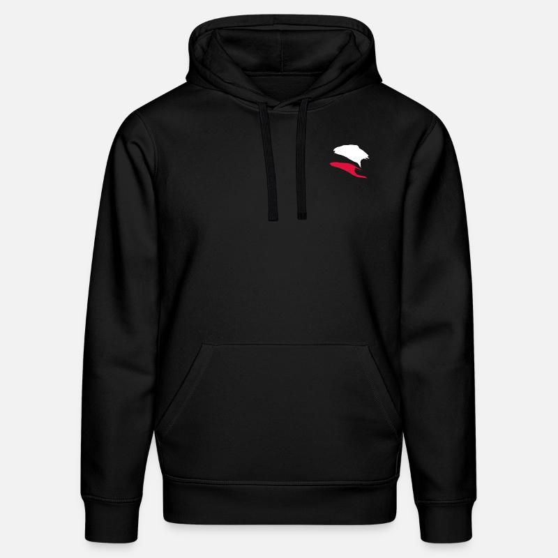 Rayures de style polonais - Sweat à capuche bio DRUMMER Stanley/Stella Unisexe - noir