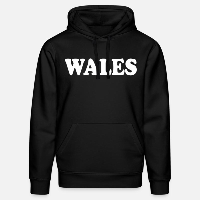 Wales - Sweat à capuche bio DRUMMER Stanley/Stella Unisexe - noir