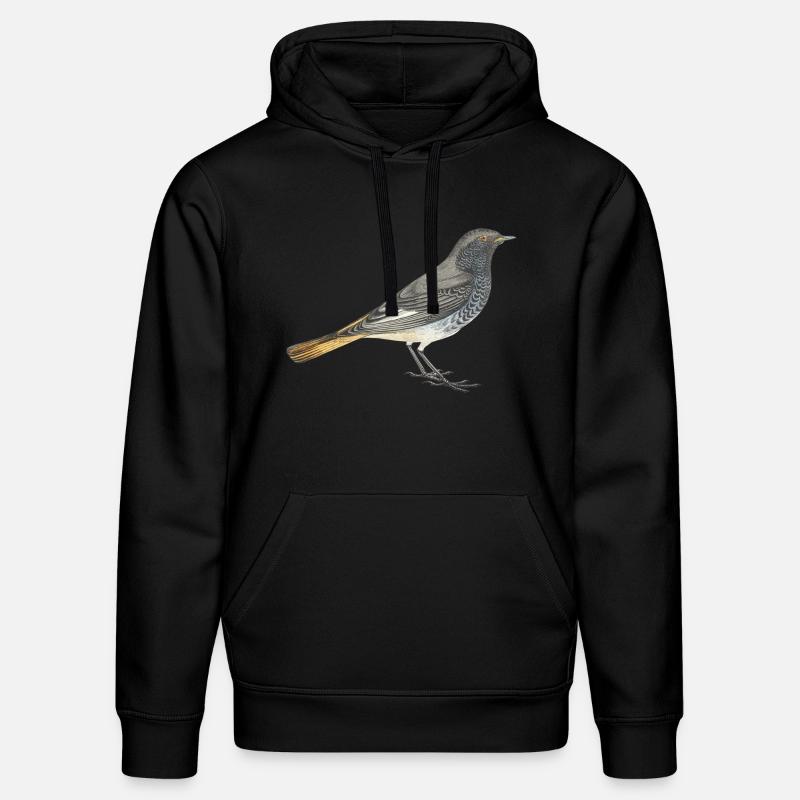 Hausrotschwanz - Stanley/Stella Unisex Bio-Hoodie DRUMMER  - Schwarz
