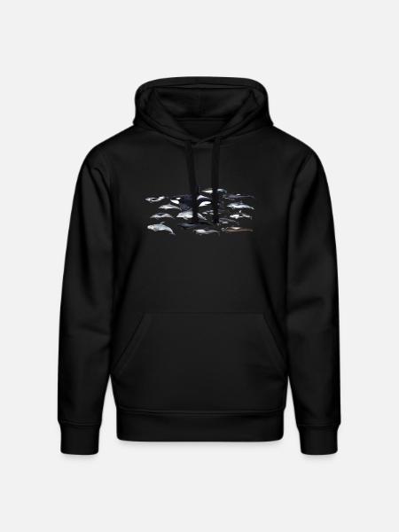 Dolphins - Dolphins - Dauphins - Delphinidae - Stanley/Stella DRUMMER Unisex Organic Hoodie - black
