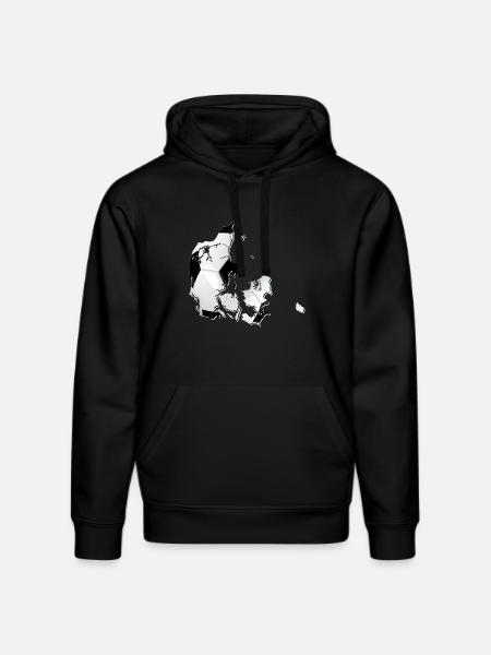 Denmark map frames real football - Stanley/Stella DRUMMER Unisex Organic Hoodie - black