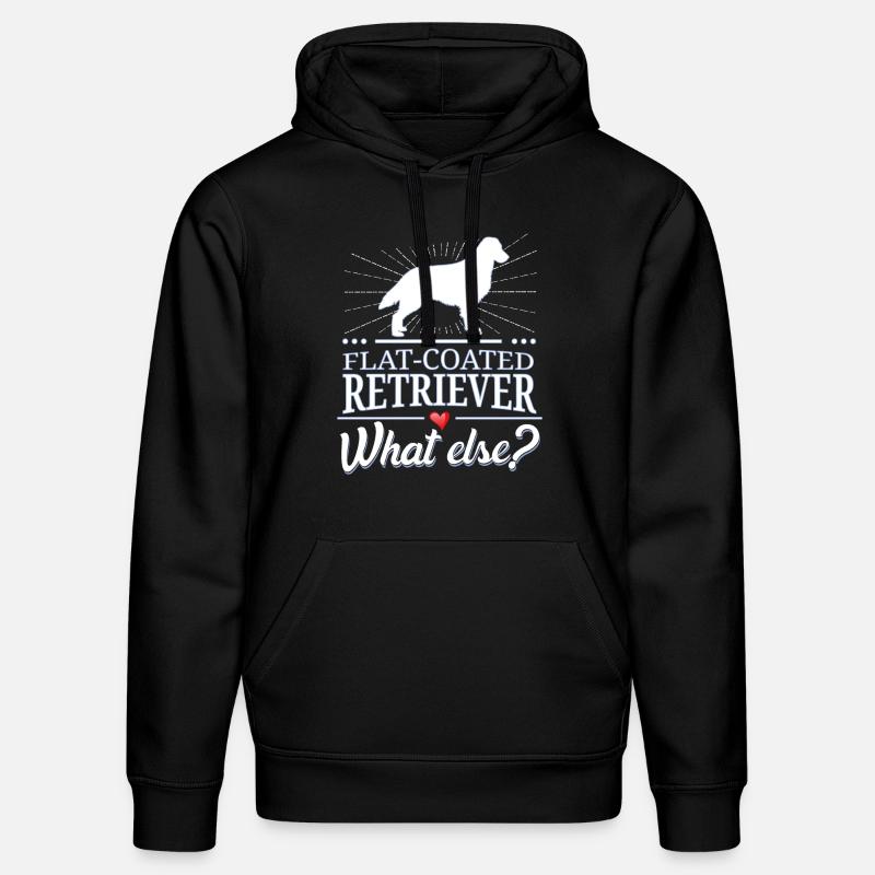 Flat-Coated Retriever quoi d'autre? - Sweat à capuche bio DRUMMER Stanley/Stella Unisexe - noir