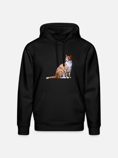 Chat chat chat Cat Cat - Sweat à capuche bio DRUMMER Stanley/Stella Unisexe - noir