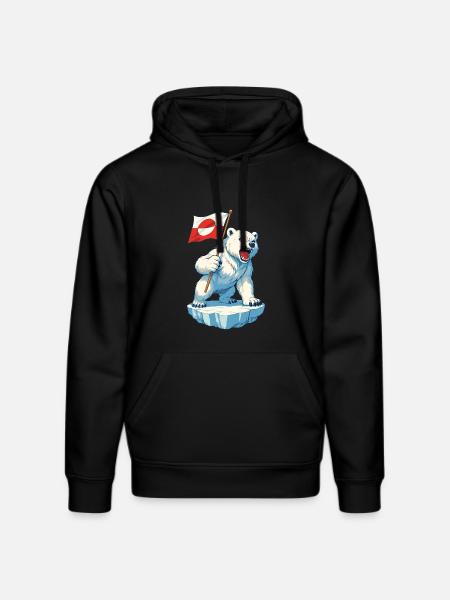 Grønlands flag Grønland er ikke til salg - Stanley/Stella DRUMMER økologisk unisex-hoodie - sort