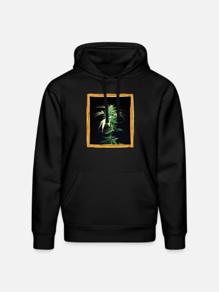 Cannabis plant - Stanley/Stella DRUMMER Unisex Organic Hoodie - black