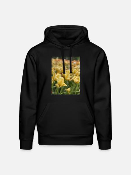 Tulipe Jaune mer - Sweat à capuche bio DRUMMER Stanley/Stella Unisexe - noir