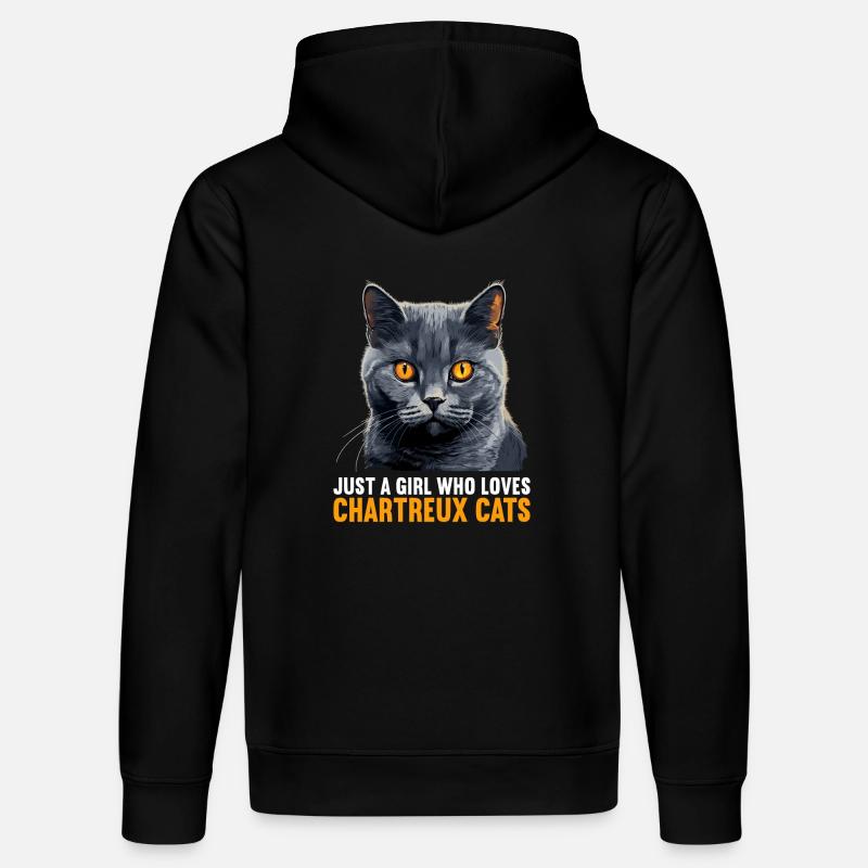 Chat Chartreux Chat Chartreux - Sweat à capuche bio DRUMMER Stanley/Stella Unisexe - noir