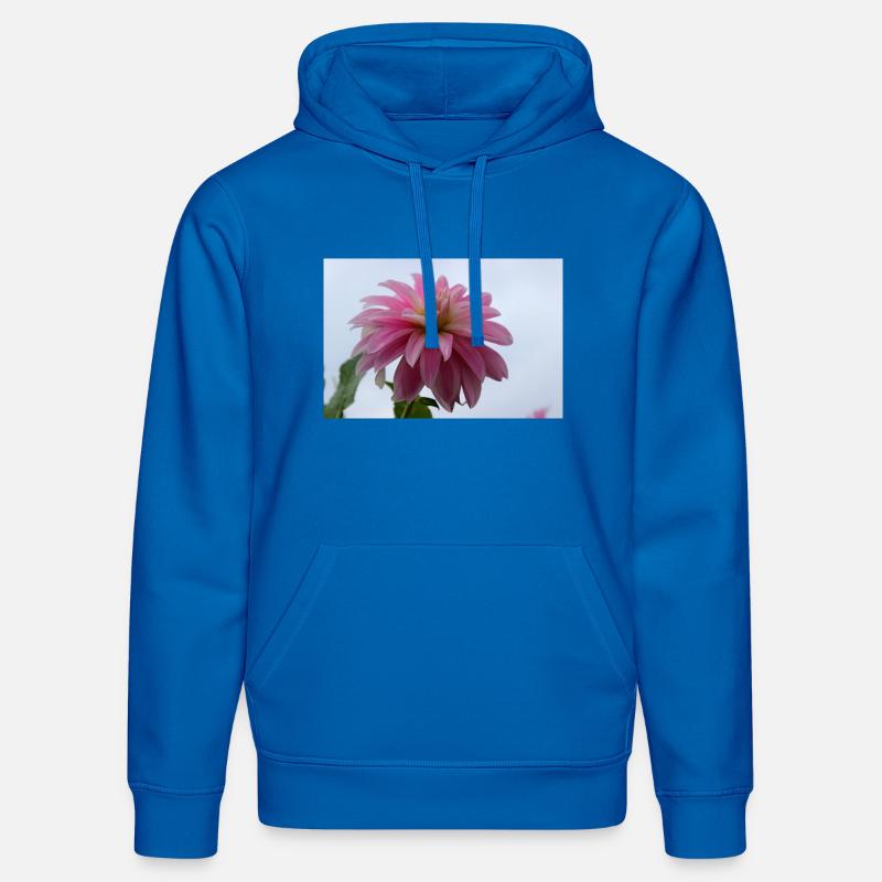 Dahlia rose rose fleur, fleur - Sweat à capuche bio DRUMMER Stanley/Stella Unisexe - bleu roi