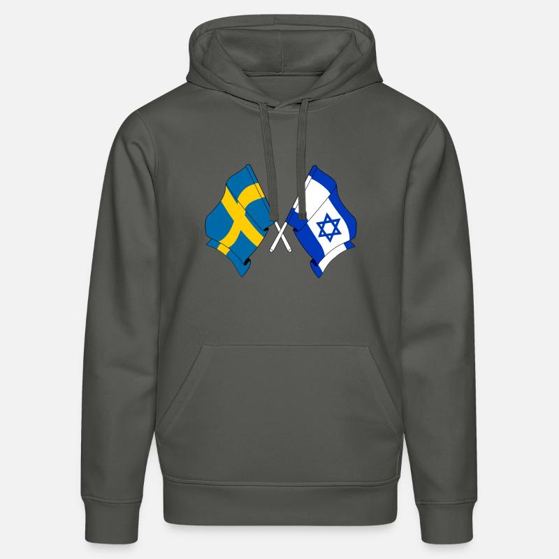 Drapeau de la Suède, drapeau d’Israël - Sweat à capuche bio DRUMMER Stanley/Stella Unisexe - charbon