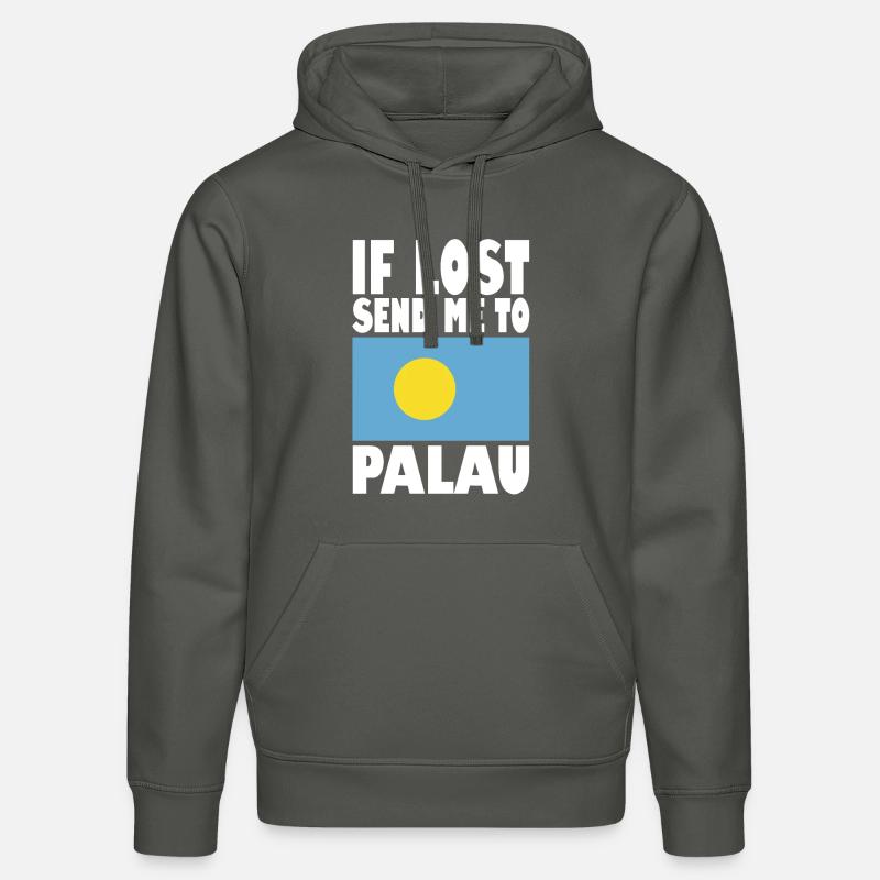 Dicton du drapeau des Palaos - Sweat à capuche bio DRUMMER Stanley/Stella Unisexe - charbon