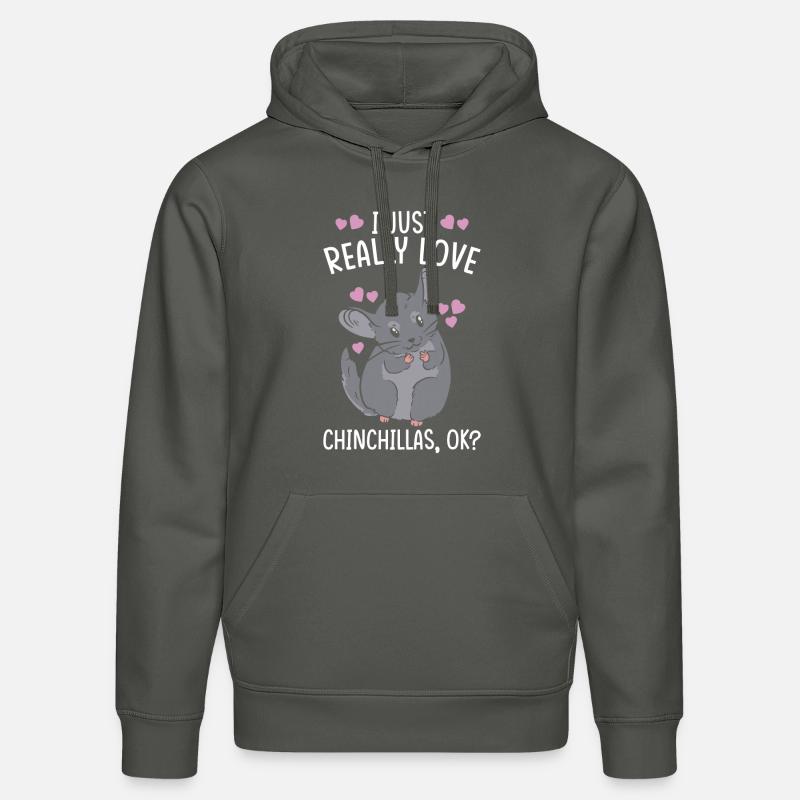 Cadeau Chinchilla - Sweat à capuche bio DRUMMER Stanley/Stella Unisexe - charbon