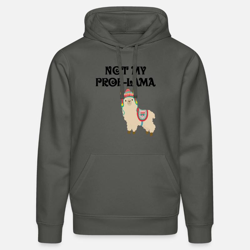 Pas mon prob-lama - Sweat à capuche bio DRUMMER Stanley/Stella Unisexe - charbon