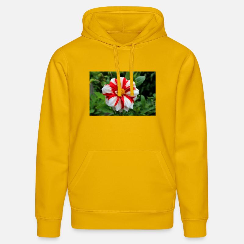Dahlia blanc rouge fleur, fleur - Sweat à capuche bio DRUMMER Stanley/Stella Unisexe - jaune spectre