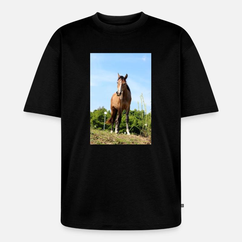Pferd Pferdeposter - Unisex Premium Oversized Bio T-Shirt - Schwarz