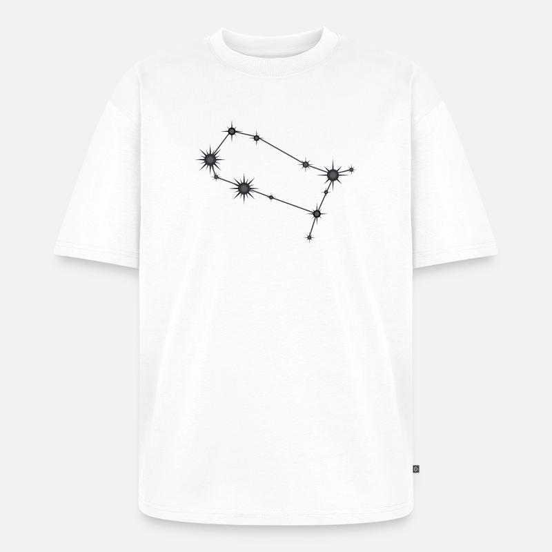 Zwillinge Sternbild Sternzeichen Schwarz & Grau - Unisex Premium Oversized Bio T-Shirt - Weiß
