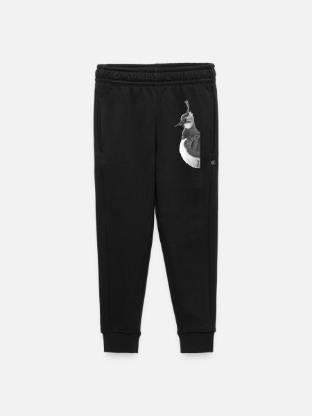 Lapwing Portrait - Kids’/Teens' Premium Sweatpants - black
