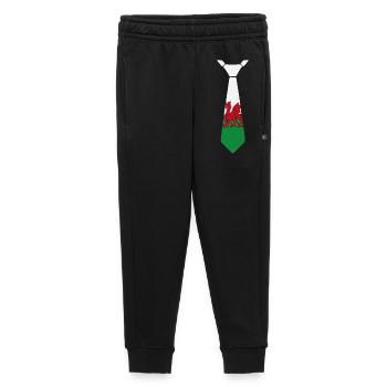 Walisisches Drachenkrawatten-Grün-Weiß-Thema - Kinder/Teenager Premium Sweathose - Schwarz - Vorne - AI Model Kid Male (0cm)