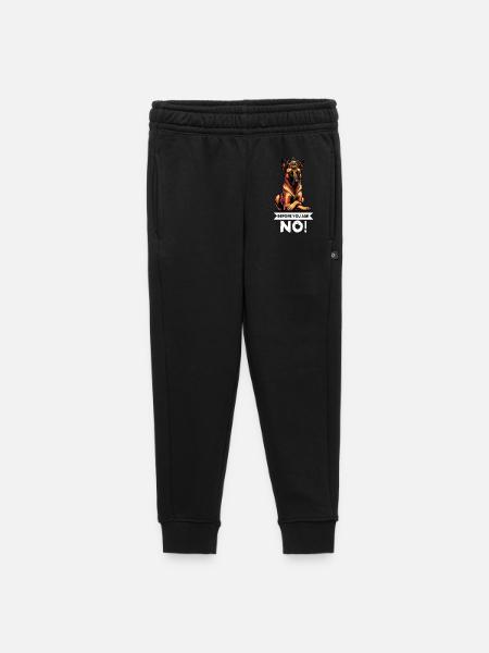 Before You Ask Malinois Belgian Shepherd Dog - Kids’/Teens' Premium Sweatpants - black
