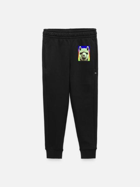 Alpaca - Kids’/Teens' Premium Sweatpants - black