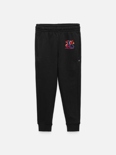 Drache - Kinder/Teenager Premium Sweathose - Schwarz