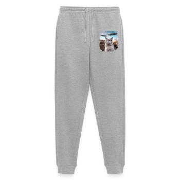 Funny British Shorthair Cat selfie with Alien UFOs - Men's Premium Organic Joggers - heather grey - Front - Thijin (182cm)