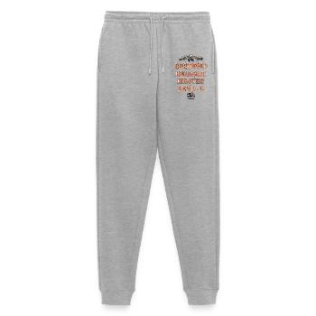 Certified Bullshit Master Level 3 - Men's Premium Organic Joggers - heather grey - Front - Thijin (182cm)