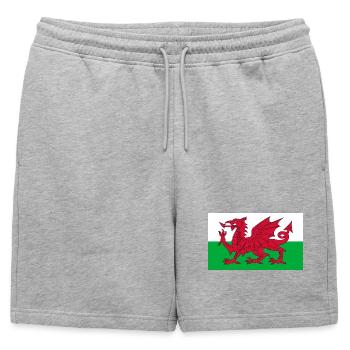 Autocollant drapeau du Pays de Galles Aufkleber Wales autocollant - Short de survêtement homme premium - gris chiné - Devant - AI Model Male 178 light (178cm)