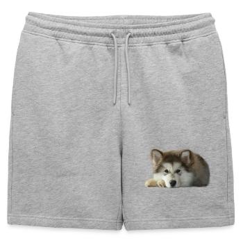 Chiot malamute Maia - Short de survêtement homme premium - gris chiné - Devant - AI Model Male 178 light (178cm)