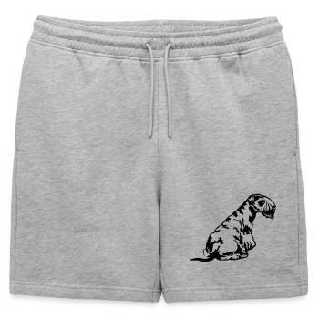 Cesky Terrier - Short de survêtement homme premium - gris chiné - Devant - AI Model Male 178 light (178cm)