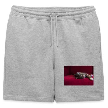 Süße getigerte Babykatze, liegend, Fotografie - Männer Premium Organic Sweatshorts - Grau meliert - Vorne - AI Model Male 178 light (178cm)