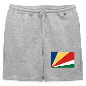 Bandes de géométrie de couleur - Short de survêtement homme premium - gris chiné - Devant - AI Model Male 178 light (178cm)