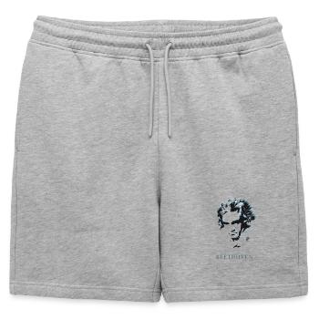 beethoven exzentriker genie musik taub komponist f - Männer Premium Organic Sweatshorts - Grau meliert - Vorne - AI Model Male 178 light (178cm)