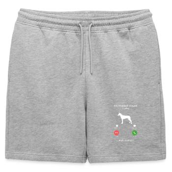 Le Chien du Pharaon appelle une alerte téléphonique du chien drôle - Short de survêtement homme premium - gris chiné - Devant - AI Model Male 178 light (178cm)