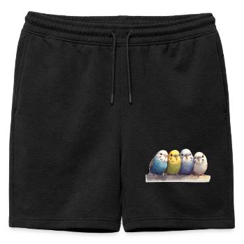 Budgies - Mens' Premium Organic Sweatshorts - black - Front - AI Model Male 178 light (178cm)