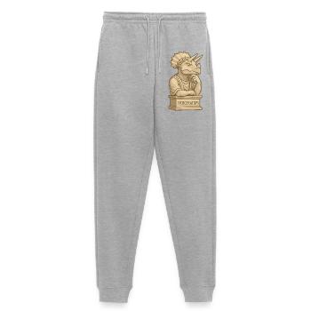 Stoiceratops - Frauen Premium Bio Jogginghose - Grau meliert - Vorne - Selfina (174cm)