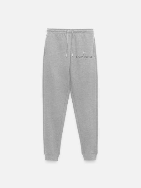 Sensorische Überlastung - Frauen Premium Bio Jogginghose - Grau meliert