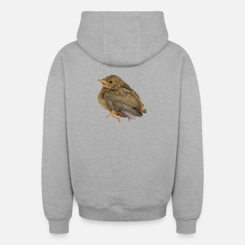 Succursale de Robin - Sweat à capuche unisexe zippé oversize épais SPREAD - gris chiné