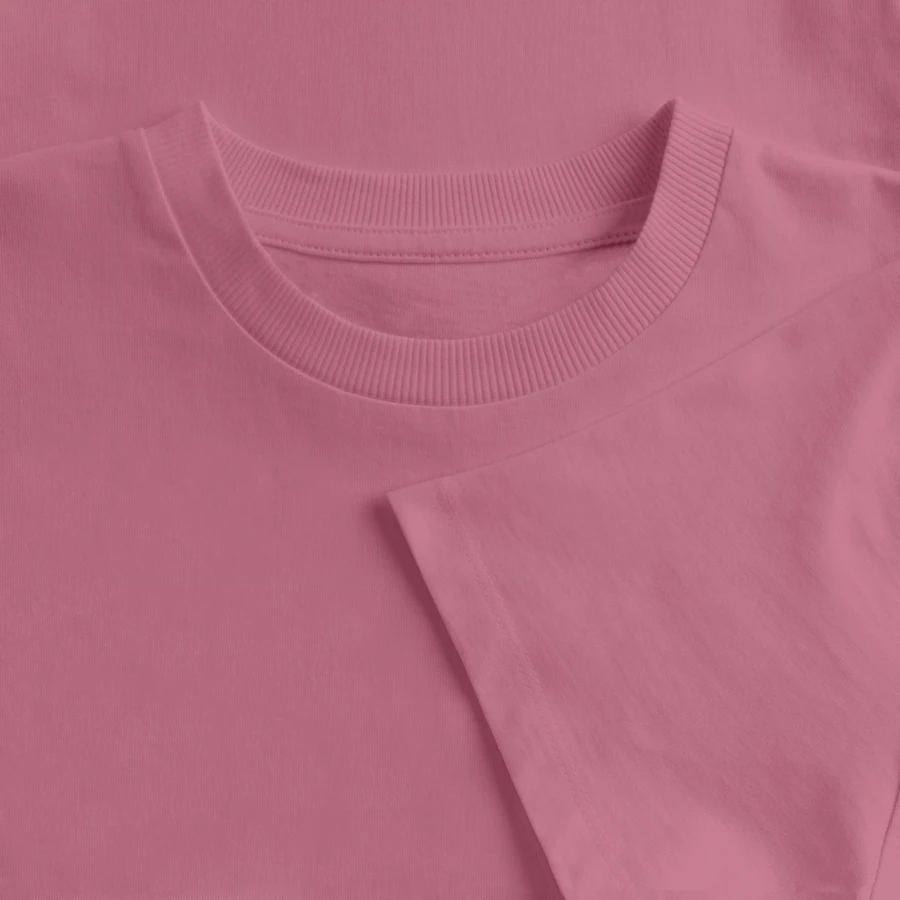Interlaken badge on a women’s premium oversized organic cropped t-shirt, mauve, neck label