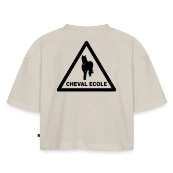 Espritrait cheval école