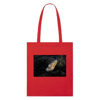 Napoléon serpents anguille - Tote bag bio Stanley/Stella - rouge - Devant