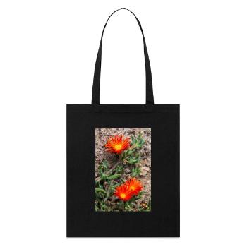 Hängende Eisblume Winterhartes Eis Delosperma - Stanley/Stella Bio-Stoffbeutel - Schwarz - Vorne