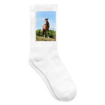 Pferd Pferdeposter - Tennissocken - Weiß - Rechts